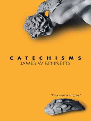 cover image of Catechisms